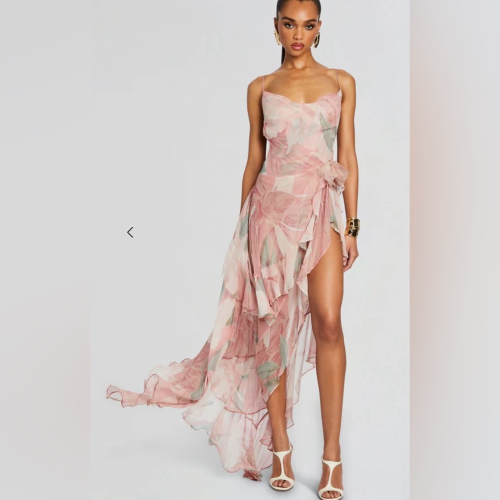 RETROFETE Samara Silk Chiffon Dress Dusty Pink Botanical ⭐️LUXURY PREMIUM⭐️ NWT